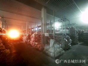 都安縣 牛肉市場 牛氣沖天 產品旺銷