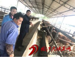 狠抓落實,全力推進農業產業扶貧工作 就學習貫徹落實州委八屆五次全會精神訪州農業局黨組書記 局長熊漢峰