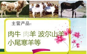 生羊價(jià)格走勢_農(nóng)副產(chǎn)品_世界工廠網(wǎng)