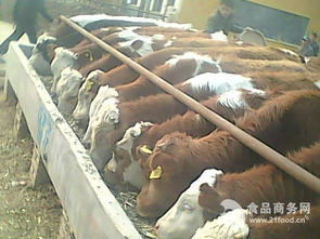 秸稈養(yǎng)牛新技術(shù)價(jià)格,產(chǎn)品報(bào)價(jià)