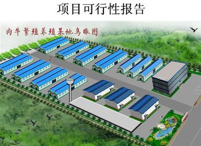 高精鋁板帶項目可行性研究報告