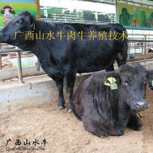 濟南伊潤源清真肉類加工廠