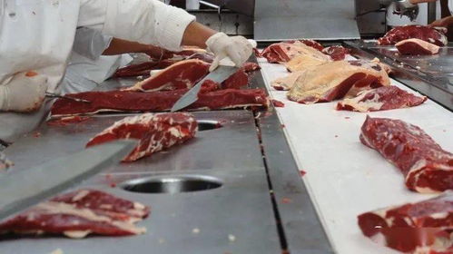 愛爾蘭不同地區的3家肉品加工廠報告15例covid 19陽性病例