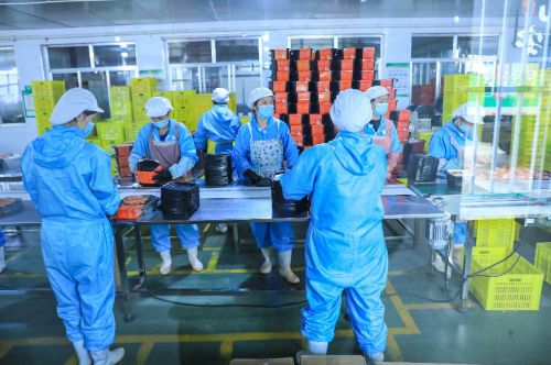 寧夏特色農產品吸引全國客商 簽下近19億超級訂單